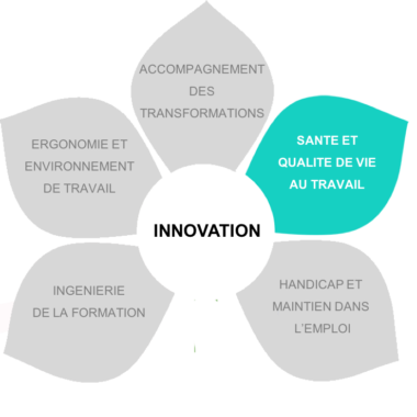 Fleur des compétences de Vicariance dont les pétales sont grisées, à l'exception de la pétale "Santé et qualité de vie au travail"