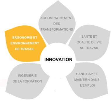 Fleur des compétences de Vicariance dont les pétales sont grisées, à l'exception de la pétale "Ergonomie et environnement de travail"