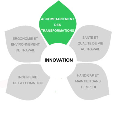 Fleur des compétences de Vicariance dont les pétales sont grisées, à l'exception de la pétale "Accompagnement des transformations"